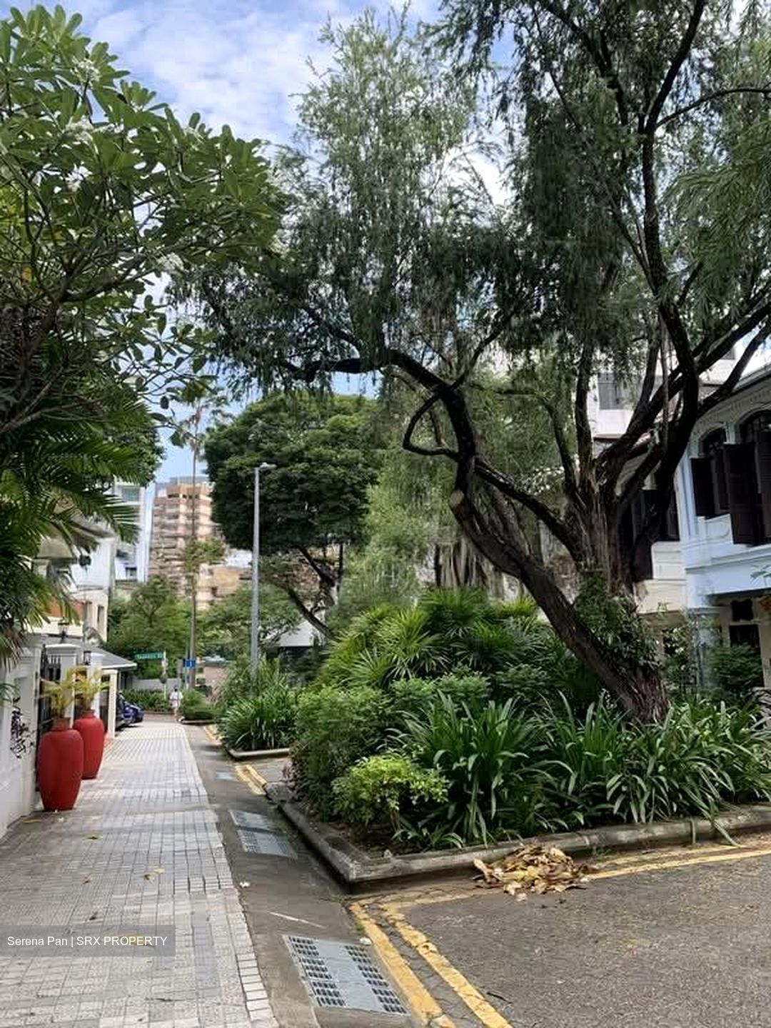 Emerald Hill Road (D9), Detached #533101471